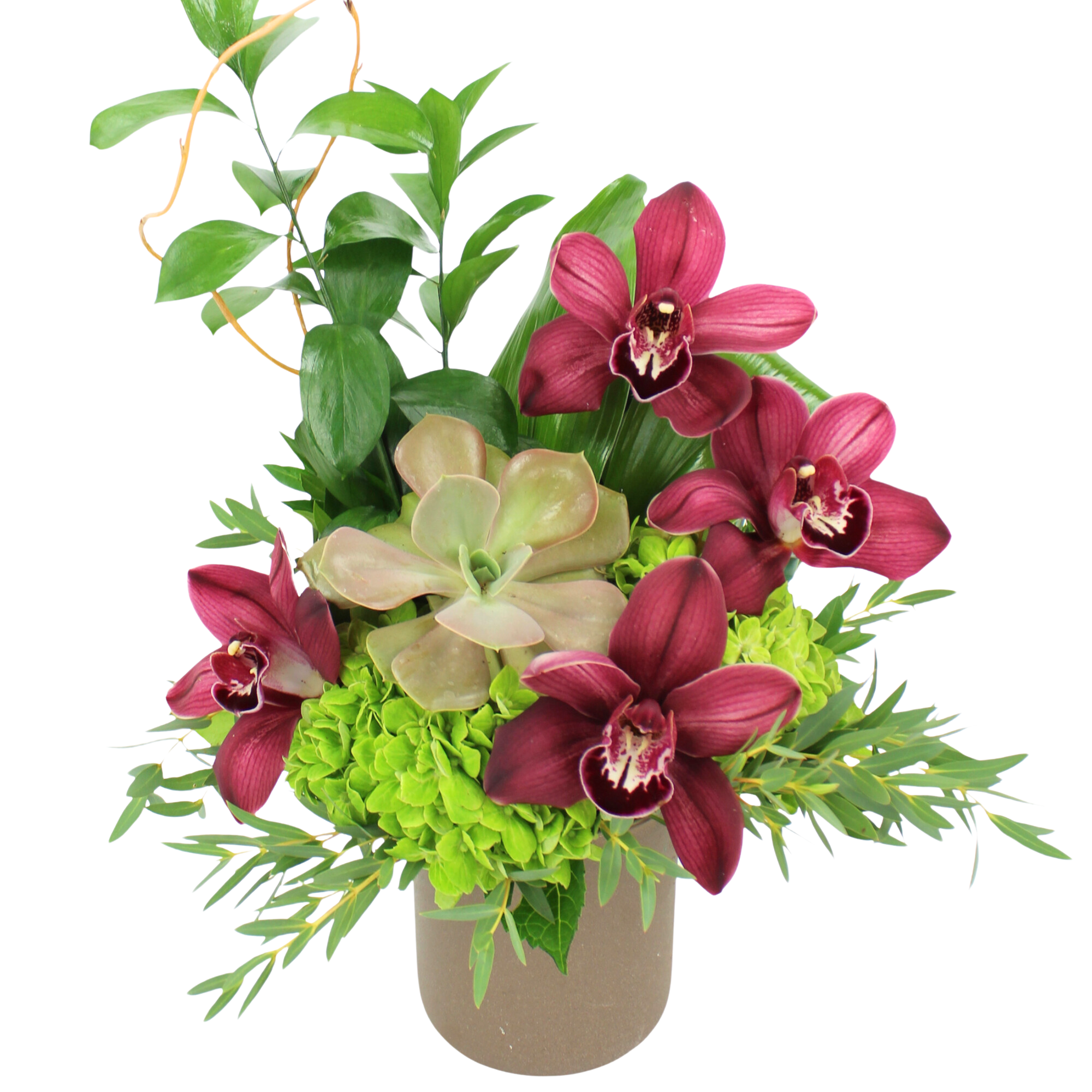 Burgundy Island cymbidium arrangement from Dotties Flowers
