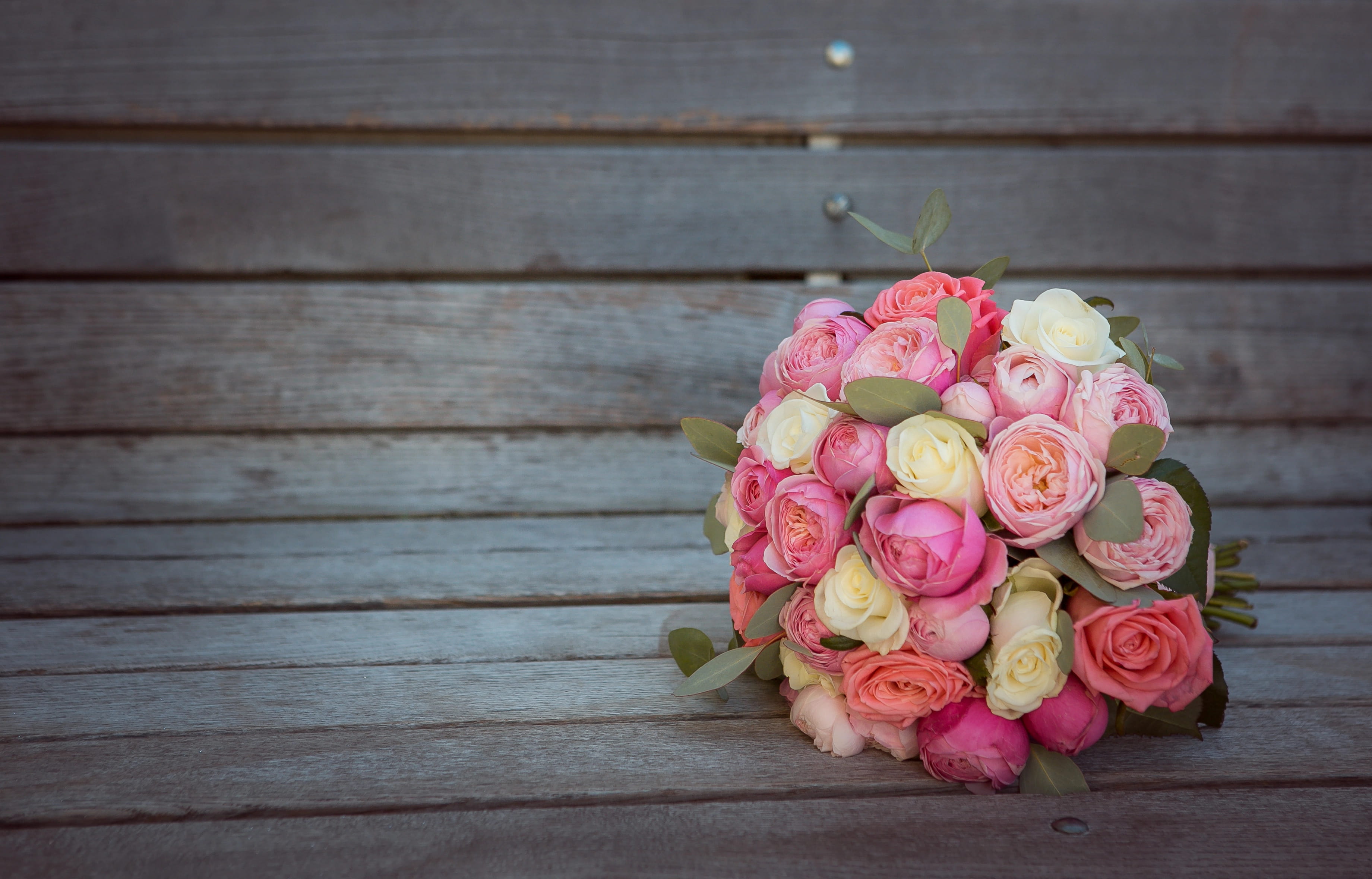 The Delicate Charm of Pastel Flowers: Soft and Subtle Blossoms