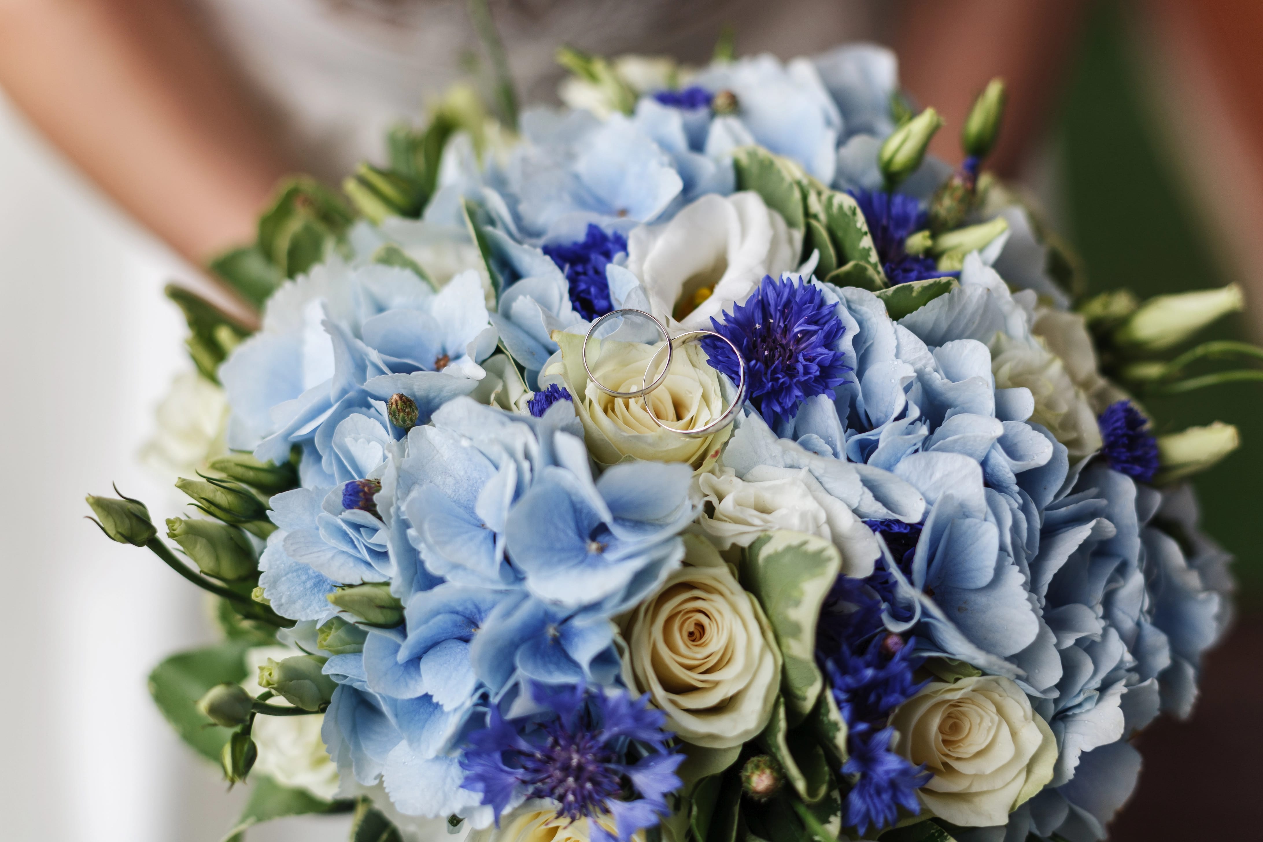 The Serenity of Blue Flowers: Finding Calm and Tranquility in Blooms