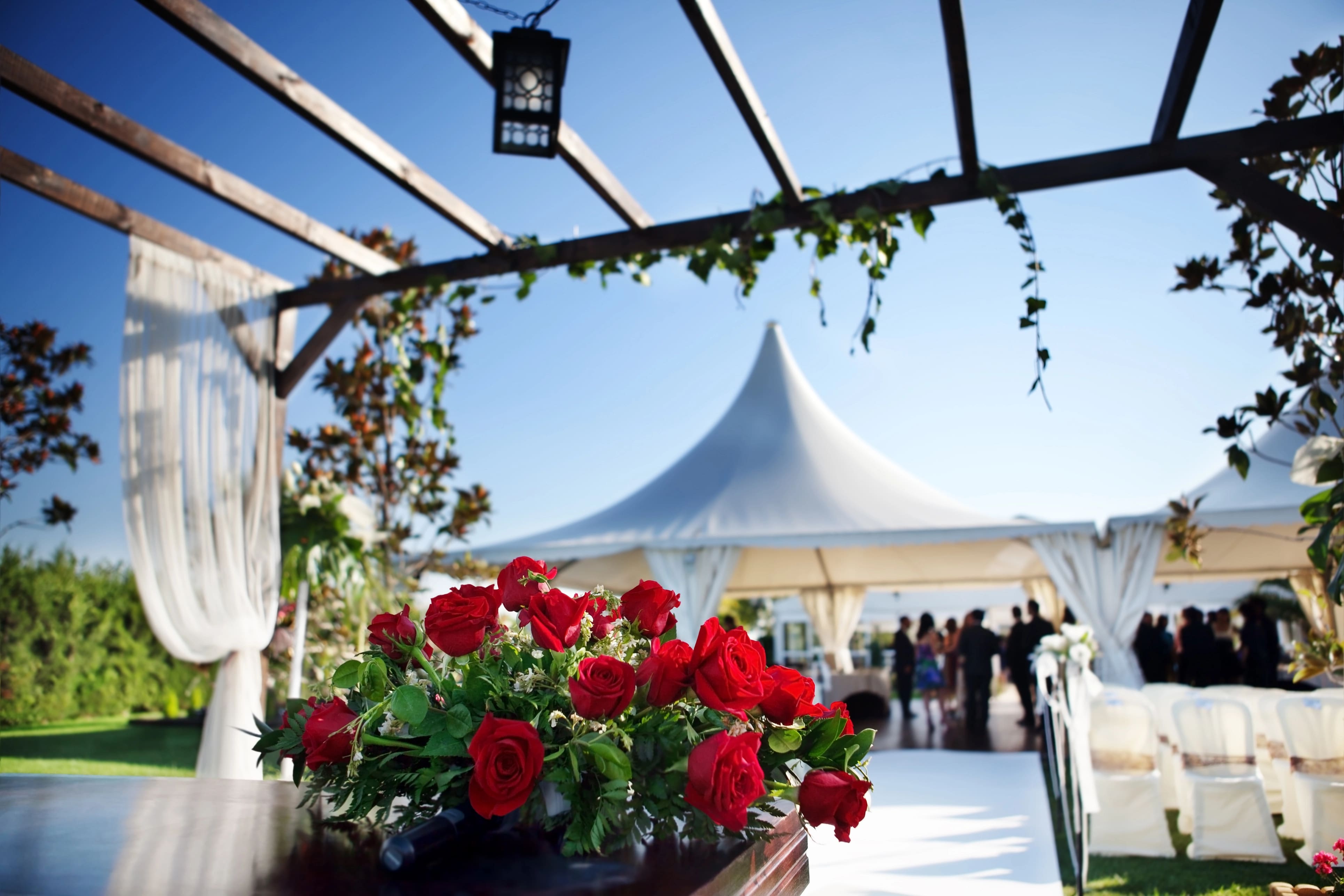 The Best Flowers for Outdoor Weddings: Beauty That Withstands Nature