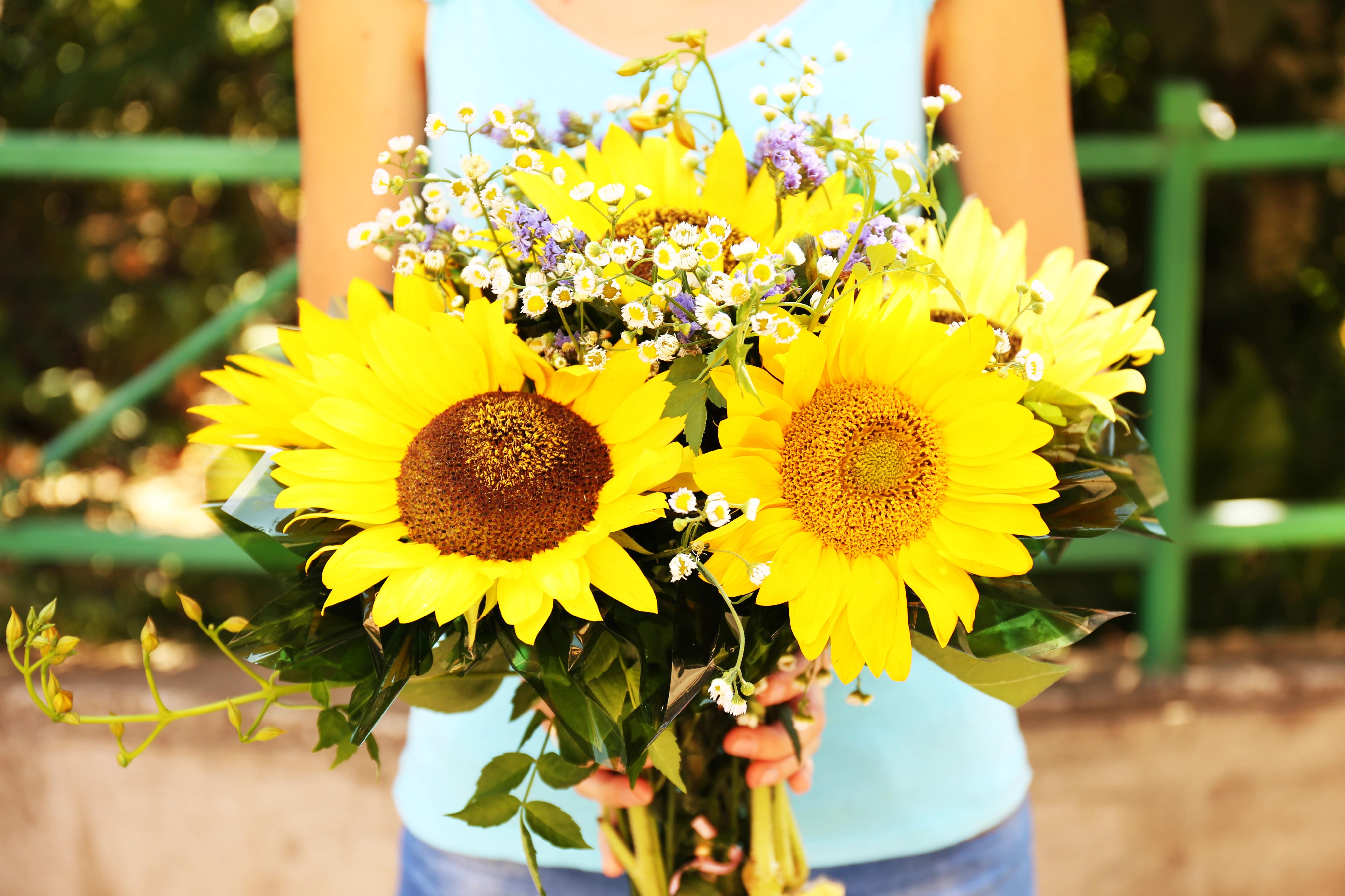 The Joy of Giving Sunflowers: The Perfect Gift for Happiness