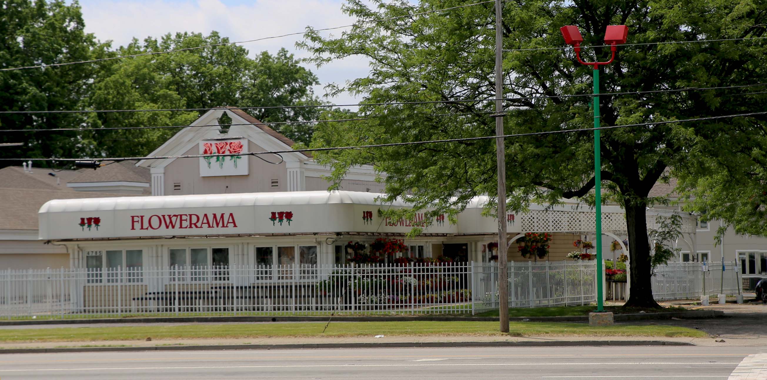 Ohio State - Ohio State Mug - #1 Florist in Central Ohio - Flowerama  Columbus - Same Day Flower Delivery » Flowerama Columbus