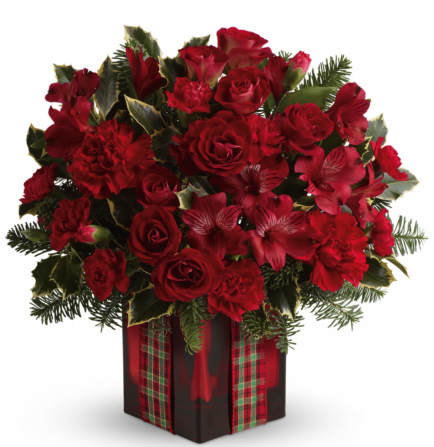 Fields of Europe Christmas - Gidas Flowers