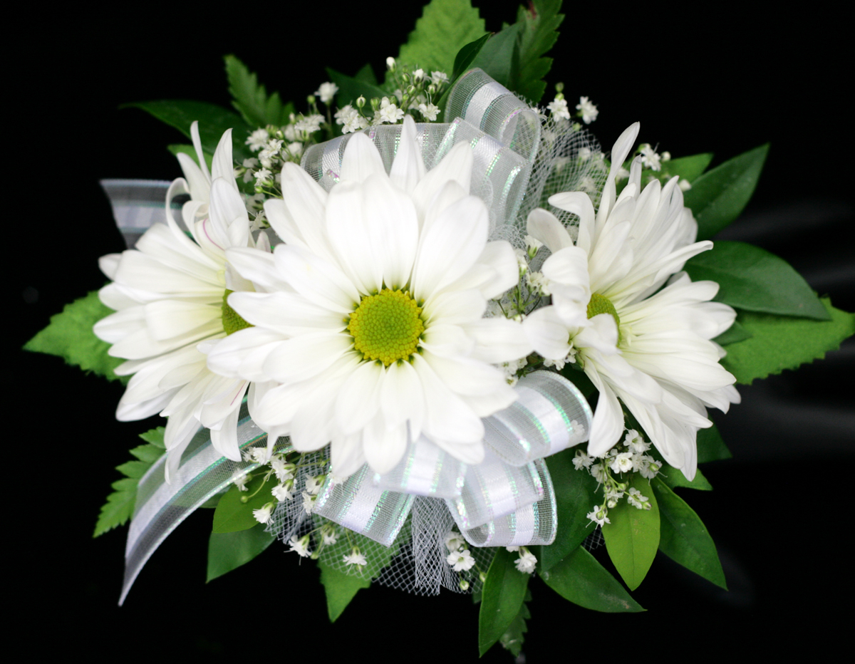  Three Daisy Wrist Corsage Columbus OH Florist Flowerama Columbus